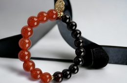 Bracelet de pierre naturelle de Grenat rouge foncé et Cornaline